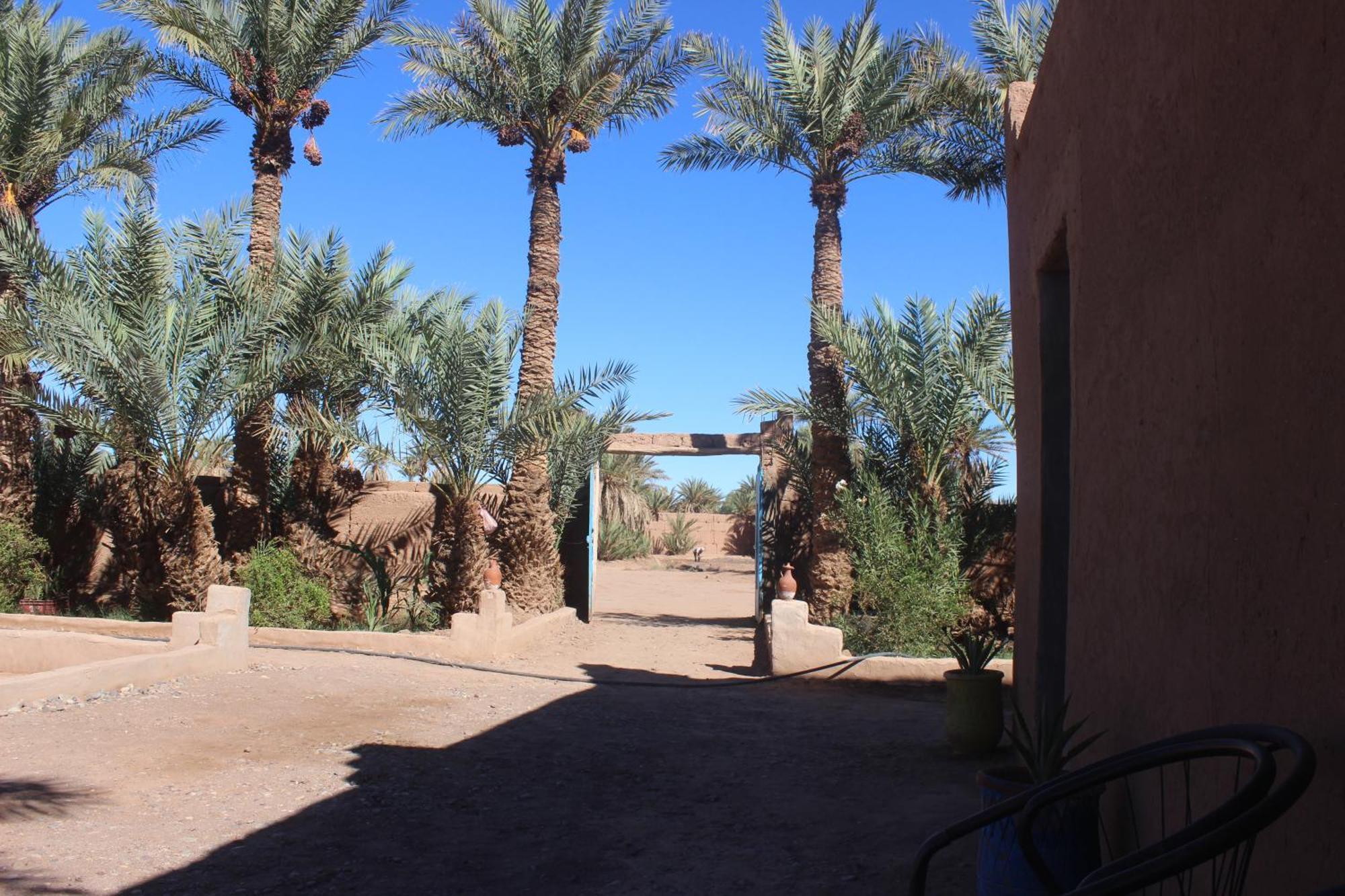 Kasbah Desert Camp Mhamid Kültér fotó